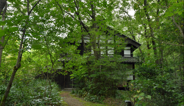 %e2%98%85%e9%87%91%e6%b4%a5%ef%bc%95