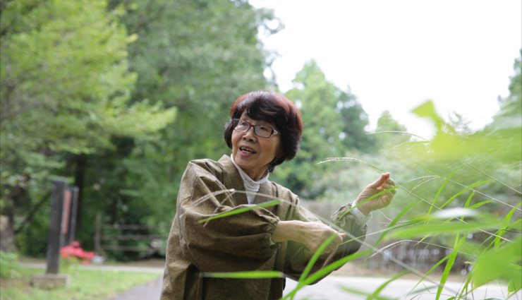 %e2%98%85%e9%87%91%e6%b4%a5%ef%bc%98