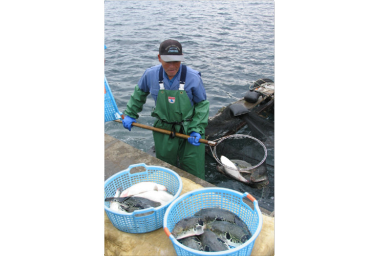 %e3%81%8a%e3%81%8a%e3%81%84%e3%81%9f%e3%81%a6